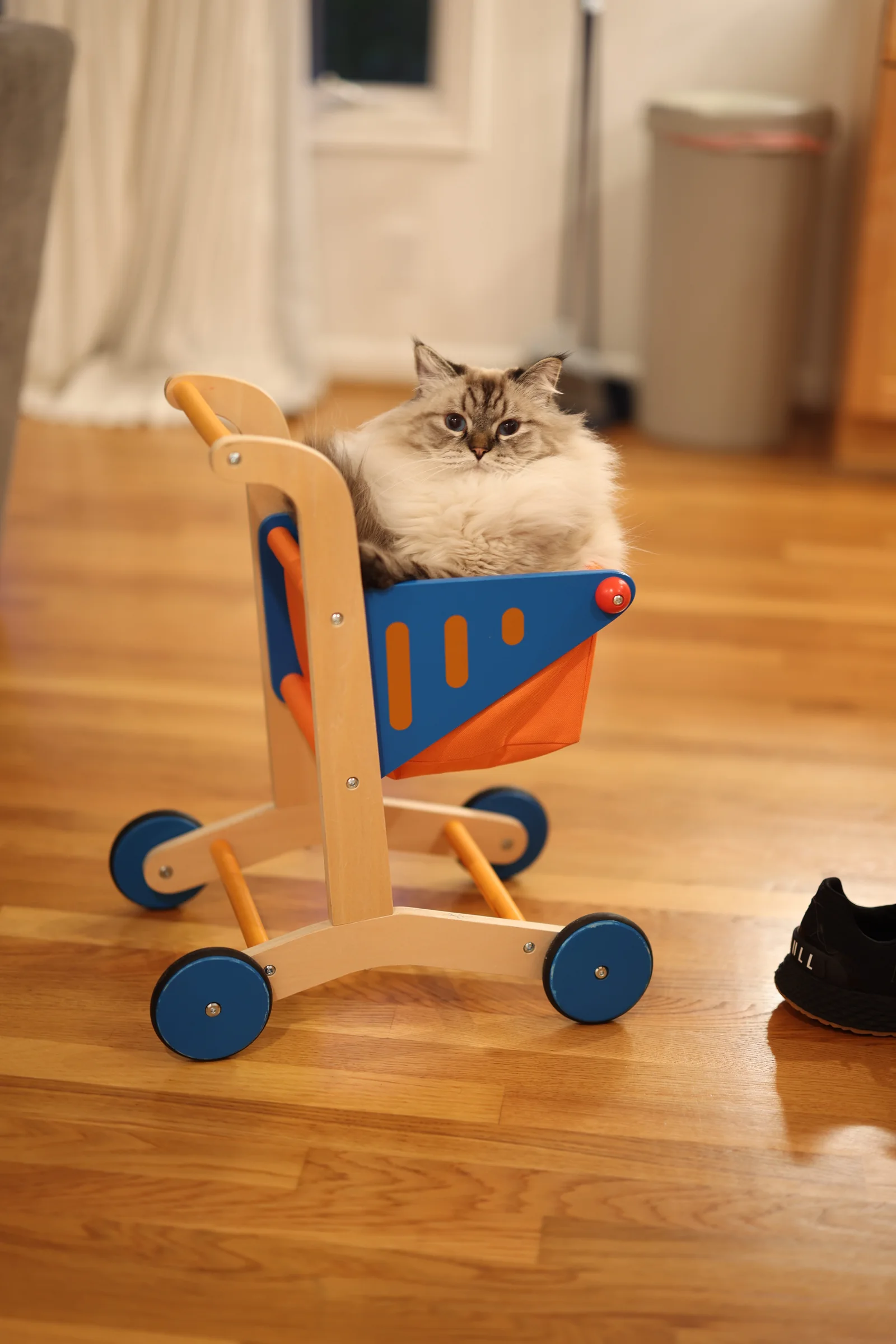 A fluffy cat sitting in a small wooden toy shopping cart